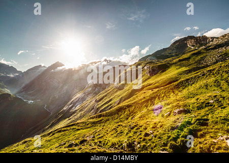 Il sorgere del sole sopra erboso collina rurale Foto Stock