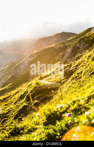 Il sorgere del sole sopra erboso collina rurale Foto Stock