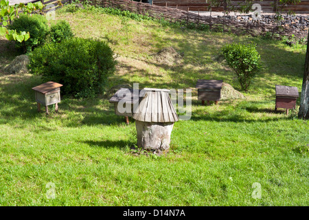 In legno antico miele alveari in cantiere. L'Ucraina. Foto Stock