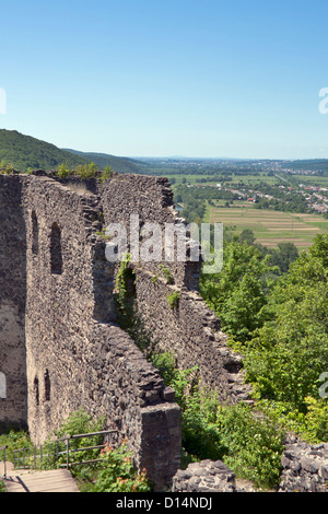 Pareti di Nevytsky castello edificato nel XIII secolo. Zakarpattia Oblast, Ucraina. Foto Stock