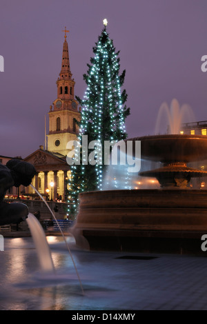 Albero di natale in Trafalgar Square, Londra, al tramonto, con fontane e St Martin-In-la chiesa Fiields Foto Stock