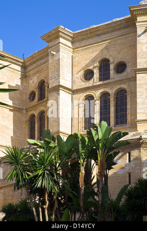 Vista posteriore della cattedrale dell'Incarnazione. La Manquita, in Malaga, Andalusia, Spagna Foto Stock