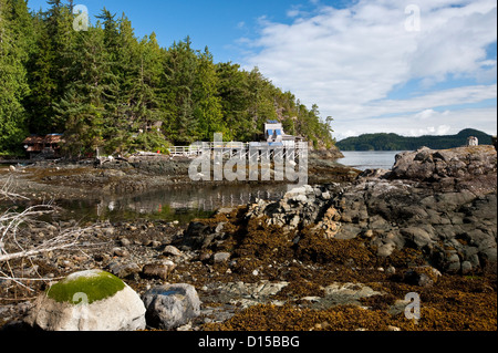 Orca Lab, situato in Hanson Island, British Columbia, è il mio personale gli scienziati che si occupano di monitorare i mammiferi marini in British Columbia Foto Stock