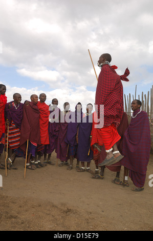 Masai tribesmen in ballo nel loro villaggio vicino al cratere di Ngorongoro Tanzania Africa Foto Stock