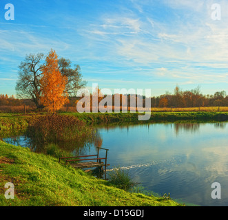 Serata d'autunno. Golden birch vicino al laghetto. Foto Stock