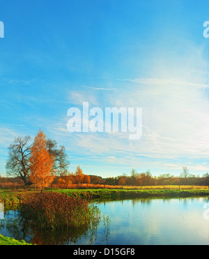 Serata d'autunno. Golden birch vicino al laghetto. Foto Stock