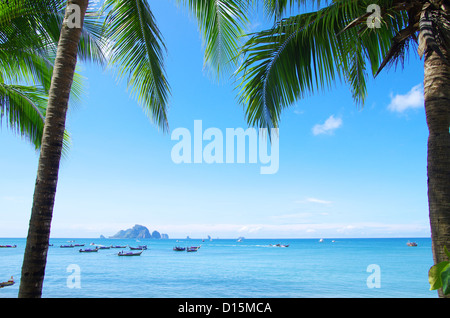 Green Palm tree sul cielo blu sullo sfondo Foto Stock