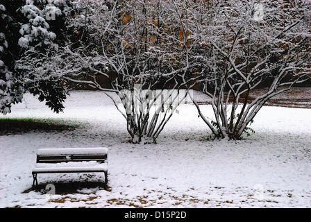 Padova, Italia, dicembre 8th, 2012. Oggi la prima neve dell anno ha imbiancato la città. Il parco pubblico. Foto Stock