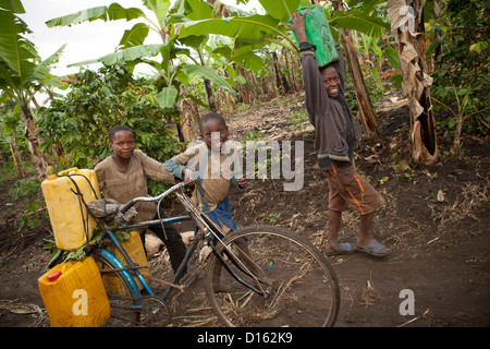 I ragazzi di recuperare acqua in Kasese, Uganda, Africa orientale. Foto Stock