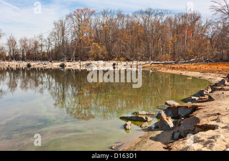 La costa intorno a un lago e con molti caduti gli alberi morti di fronte alberi viventi ancora in piedi Foto Stock