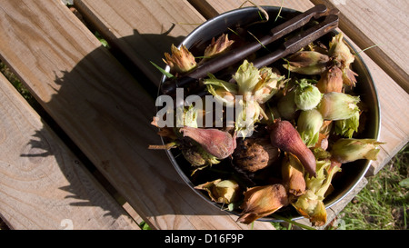 Ciotola di dadi e schiaccianoci sul tavolo di legno Foto Stock