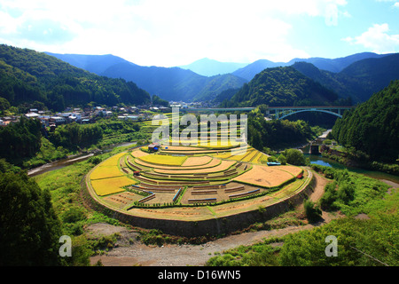Terreni agricoli in Aridagawa, prefettura di Wakayama Foto Stock