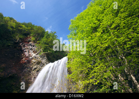 Zengoro cascata in Norikura altopiano, Prefettura di Nagano Foto Stock