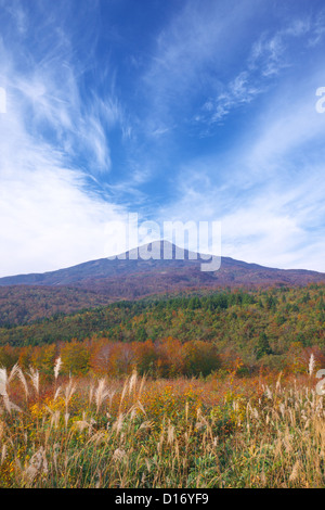 Argento campo in erba, Monte Chokai e cielo blu in background, Prefettura di Akita Foto Stock