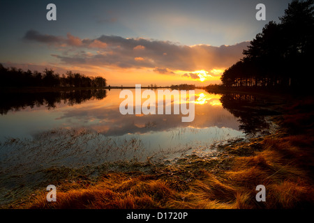 E drammatico tramonto silenzioso sul piccolo lago nella foresta, Dwingelderveld, Paesi Bassi Foto Stock