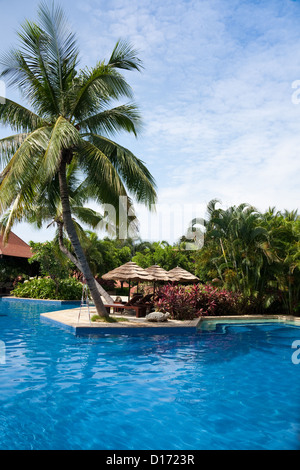 Piscina con ombrellone e sdraio nel resort tropicale Foto Stock