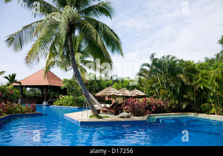 Piscina con ombrellone e sdraio nel resort tropicale Foto Stock