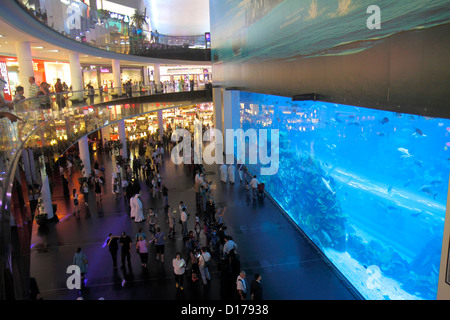 UAE Dubai,Emirati Arabi Uniti,Centro citta' di Dubai,Burj Dubai,Centro commerciale di Dubai,Acquario di Dubai,Zoo subacqueo,Tank,pesce,livelli,UAE121011125 Foto Stock