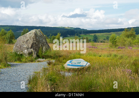 Bruce della pietra, Clatteringshaws Loch, Dumfries and Galloway, Scotland Regno Unito Foto Stock