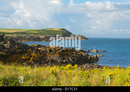 Coste rocciose, Isola di Whithorn, machars, Wigtownshire, Scozia Foto Stock