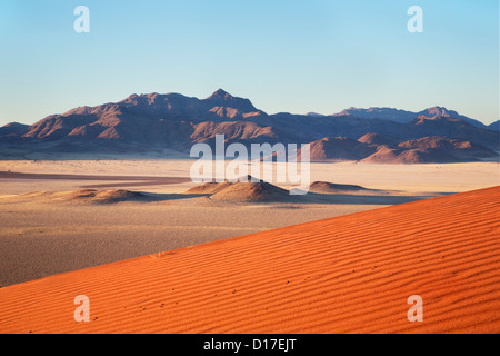 Il paesaggio del deserto in riserva Namib-Rand in Namibia Foto Stock