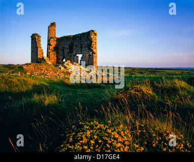 Una vecchia rovina di casa di motore alla miniera di New Phoenix, conosciuta anche come la miniera di Silver Valley, su Bodmin Moor, Minions, Cornovaglia, Inghilterra. Foto Stock