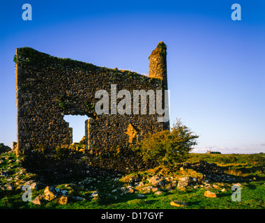 Una vecchia rovina di casa di motore alla miniera di New Phoenix, conosciuta anche come la miniera di Silver Valley, su Bodmin Moor, Minions, Cornovaglia, Inghilterra. Foto Stock