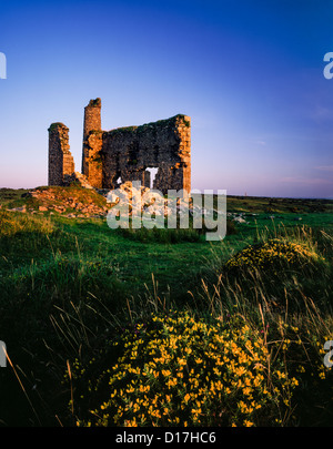 Una vecchia rovina di casa di motore alla miniera di New Phoenix, conosciuta anche come la miniera di Silver Valley, su Bodmin Moor, Minions, Cornovaglia, Inghilterra. Foto Stock