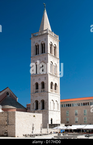 Il campanile della cattedrale di Santa Anastasia in Zadar sulla costa adriatica della Croazia. Foto Stock
