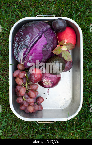 Pan of fresh picked fruit and vegetables Foto Stock