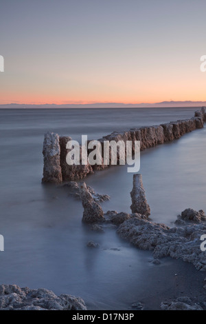 Sale-incrostati di posti di Salton Sea, California, da Bombay Beach. Foto Stock