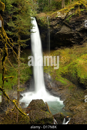 OREGON - nord scende a Silver Falls State Park si trova in una foresta pluviale temperata alla base della cascata Mountain Range. Foto Stock