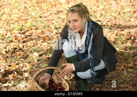 La donna nel bosco il prelievo di castagne Foto Stock
