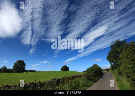 Summer Blue Skies panorama su Cotherstone Moor, Superiore Teesdale, Contea di Durham, Inghilterra, Regno Unito Foto Stock