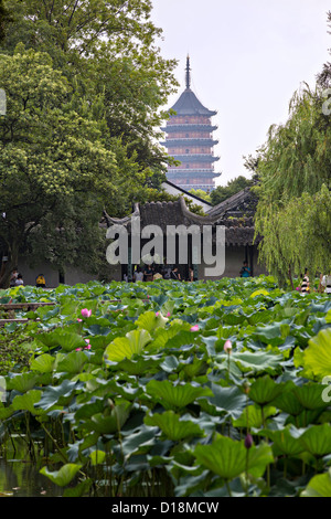 Amministratore di umile del giardino di Suzhou, Cina. Foto Stock