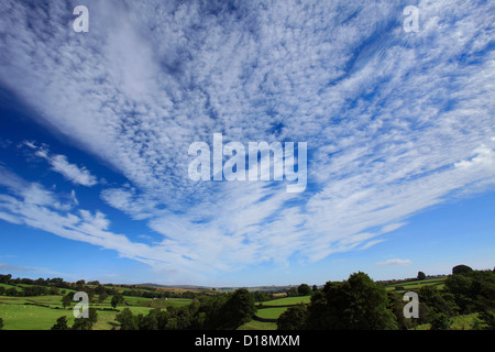 Summer Blue Skies panorama su Cotherstone Moor, Superiore Teesdale, Contea di Durham, Inghilterra, Regno Unito Foto Stock