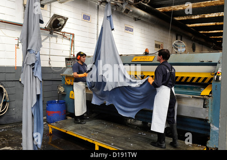 URUGUAY San Jose, conceria Bader produzione di pelli da pelle di mucca per seggiolini per auto di BMW e di altre marche di auto, Wet Blue si riferisce al cromo umido-pelli conciate. La colorazione bluastra è prodotta per il cromo agente conciante cromo III ossido che è di colore blu ed è contenuta nella pelle dopo la concia Foto Stock