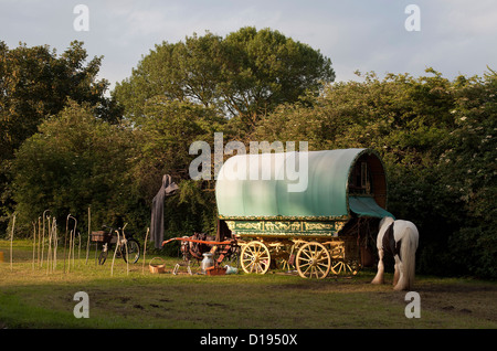 Romany gypsy caravan nella radura erbosa Foto Stock