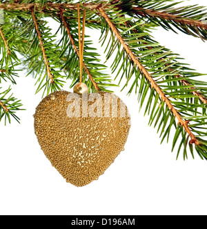 Ramo di pelliccia-albero isolato per lo sfondo Foto Stock
