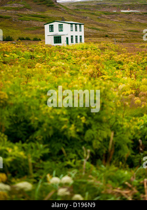 Doctor's House, HORNSTRANDIR Nord dell'Islanda Foto Stock