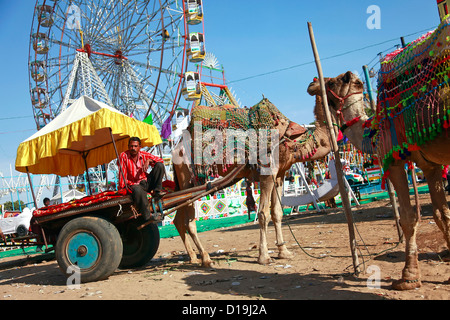 "Pushkar fair''ferry wheel',Camel carrello,Camel safari,l'India persone,fiera del bestiame,deserto,indiana e asiatica di etnia,rurale scena.MI Foto Stock