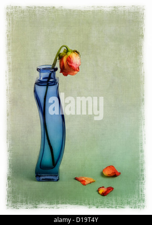 L'avvizzimento red rose in vaso blu con sovrapposizione di texture Foto Stock