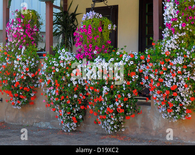 Foresta Nera settentrionale, Città: lungo il fuoco nella valle Murg, Gasthaus zum buoi, nelle petunie blooming sul balcone, Nordschwarzwald, Foto Stock