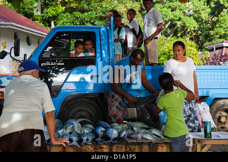 L'uomo l'acquisto di pesce fresco da una banchina stallo a Mare Anglais village, visualizzando il pesce appena pescato, Isola di Mahe,Seychelles Foto Stock