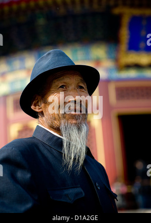 Il vecchio uomo cinese con la barba bianca, Pechino, Cina Foto Stock