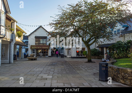 Okehampton Devon England. Il 9 dicembre 2012. Il Red Lion Yard shopping a Okehampton. Foto Stock