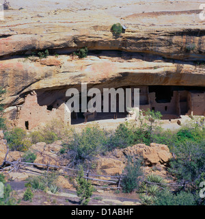 Il Parco Nazionale di Mesa Verde, Colorado, Stati Uniti d'America - ancestrale aka dei Pueblo Anasazi Cliff abitazione e rovine - 'Spruce Tree House' Foto Stock