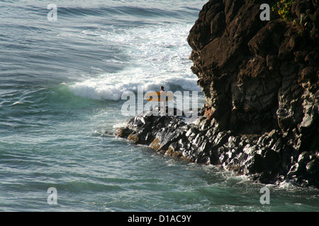 Lone surfer con scheda lungo contemplando immettendo il surf, Isola di Maui, Hawaii, STATI UNITI D'AMERICA Foto Stock