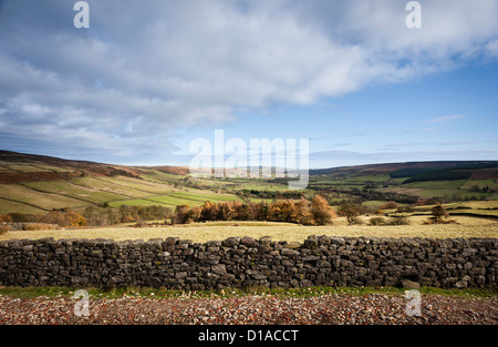 A SECCO tradizionale muro di pietra che si affaccia sulla Glaisdale dale su un bel pomeriggio autunnale nel North York Moors, nello Yorkshire, Regno Unito Foto Stock