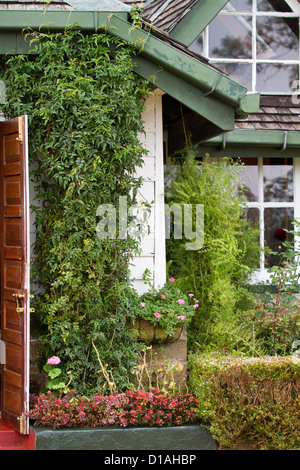 Lo stile inglese Country Garden Cottage su una piantagione di tè di Sri Lanka Foto Stock